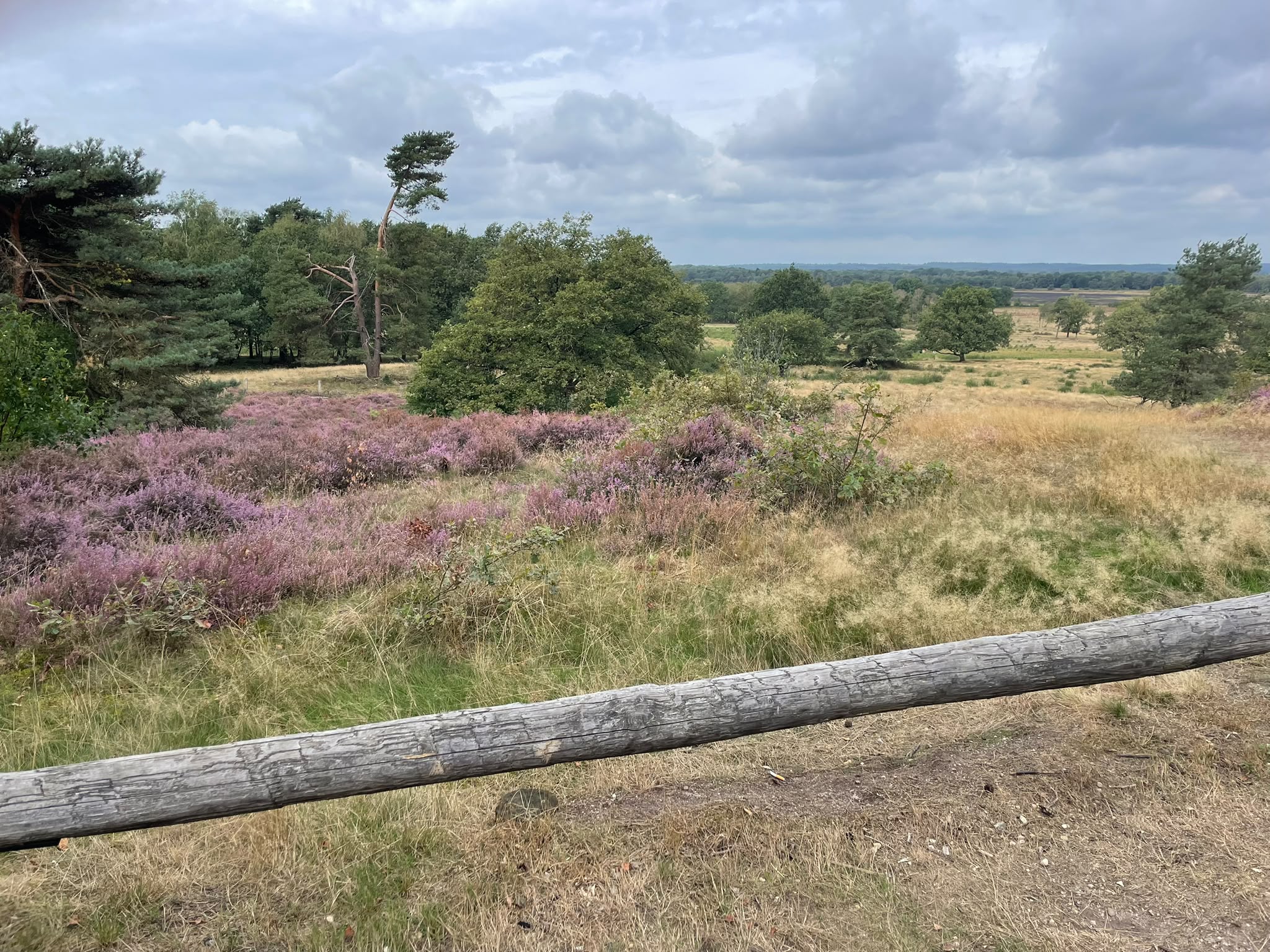 Wandeling Borkeld 2026 6